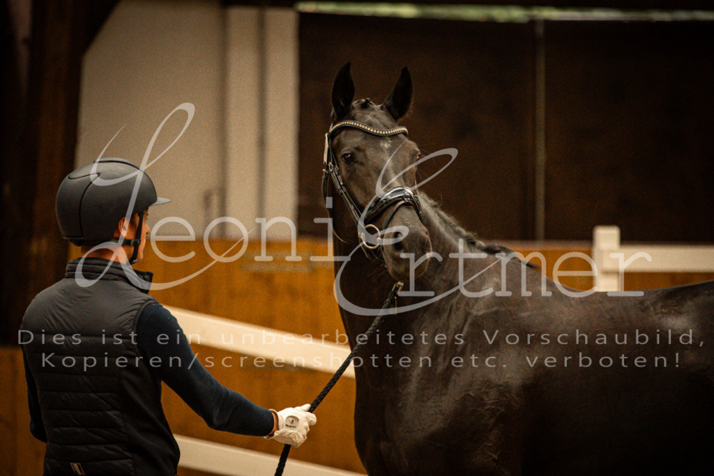 1FS_L00108 | Leoni Ertmer Photography - Realisiert mit Pictrs.com