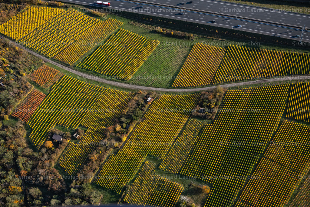 4042312 | Weinbergslandschaft an der Mainschleife bei Escherndorf und Nordheim