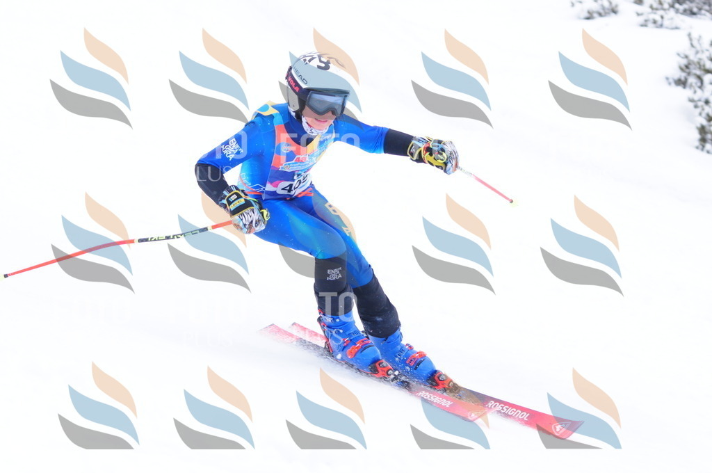 C4263 | holidayphoto