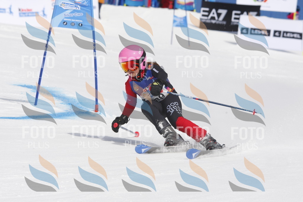 _W1G0548 | holidayphoto