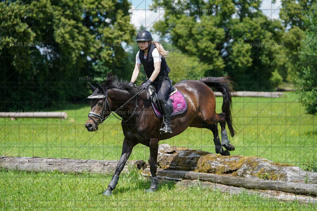 20240622-FAH07315 | Turnierfotografen Bayern, Reitsportbilder aus dem Geländekurs mit Felix Etzel auf dem Gut Waitzacker 2024