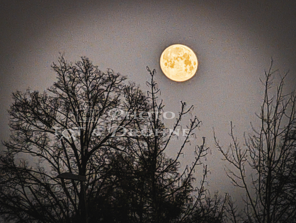 PXL_20240125_070136298 | Erleben Sie den Zauber des Mittelrheins und entdecken Sie die atemberaubende Auswahl an Fotos und Bildern bei Rheinfotos. Wir bieten eine vielfältige Auswahl an Produkten wie Poster, Karten, Sticker, Textilien und Geschenkartikeln und Fototouren. - Realisiert mit Pictrs.com