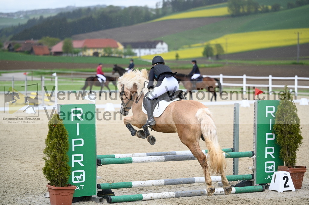 DSC_0011 | equestrian-live-com