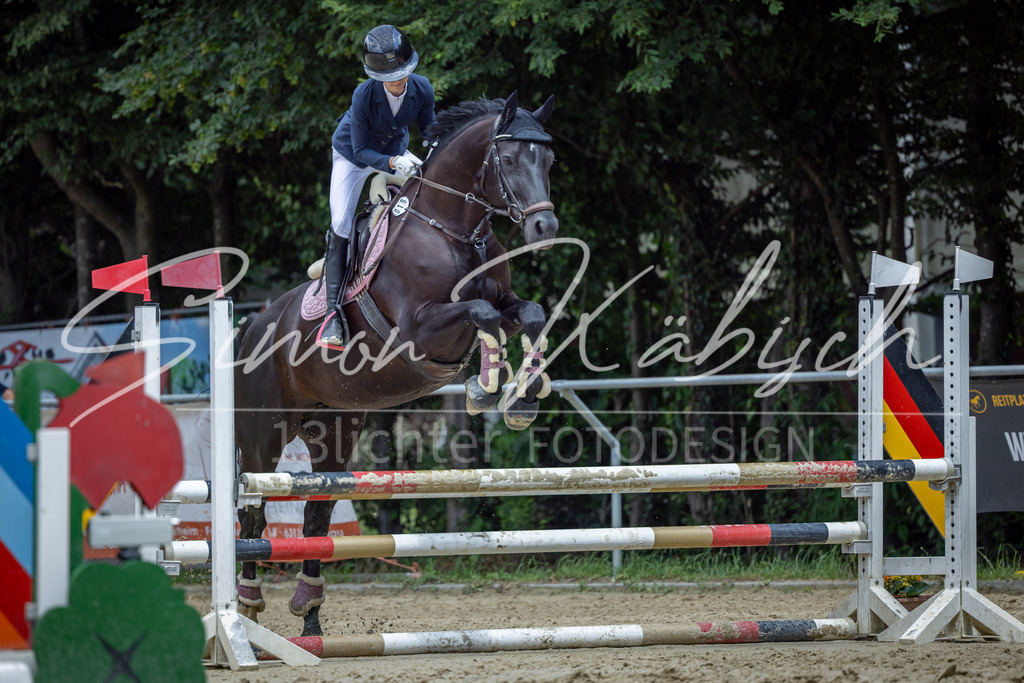 20260704-_3LI8788 | Tierfotografie Pferde, Hunde, Katzen, Haustiere.
Turnierfotografie Reitturniere, Reiten, Springreiten, Dressur in Hanau, dem Main-Kinzig-Kreis und dem Rhein-Main- Gebiet um Frankfurt