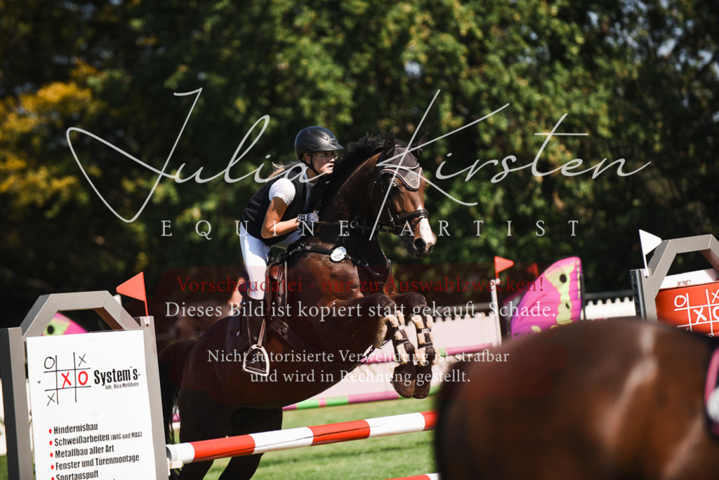 DSC_2711 | Pferde- und Turnierfotografie in Westsachsen. Pferdeportraits, Auftragszeichnungen und intuitive Kunst.