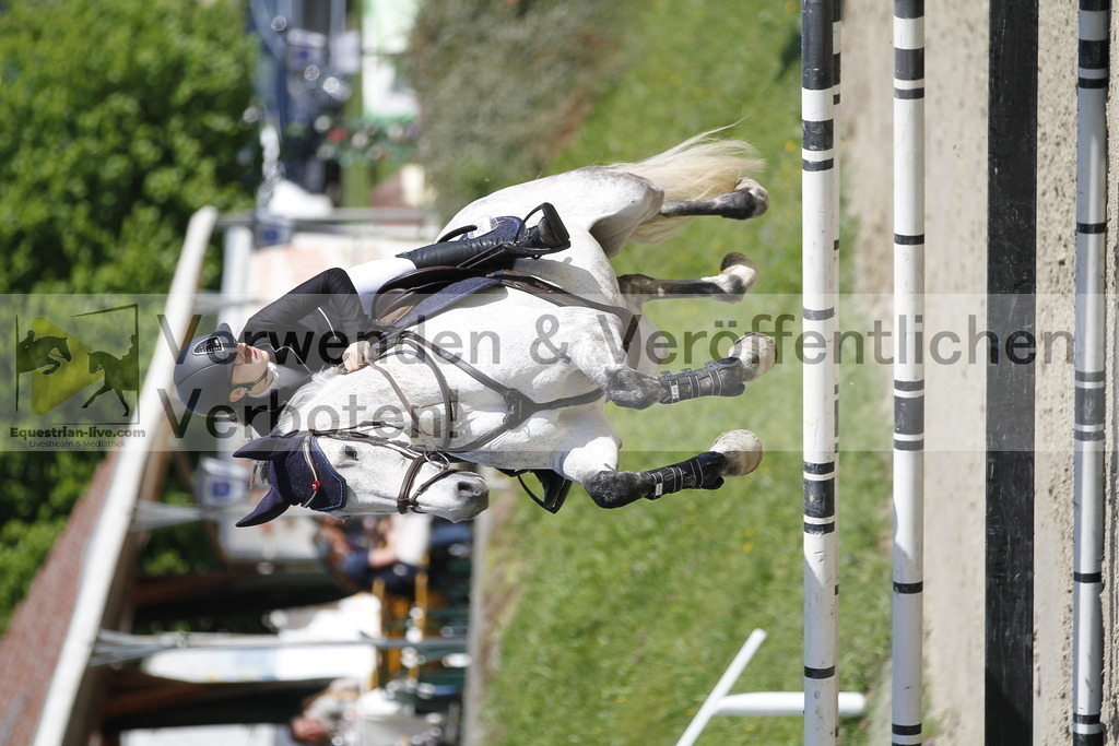_MG_8477 | equestrian-live-com
