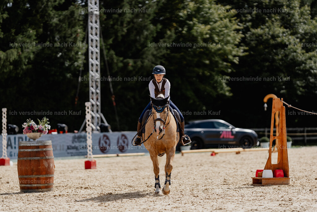Nici11_FHC2025-01644 | working equitationturnier fotograf videograf stoibphotography marixx film working equitation deutschland reitsport turnierfotografie eventfotografie equestrian events