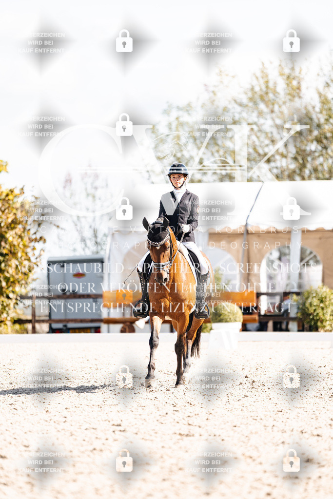 CK902732 | Turnierfotografie Pferdefotografie Trier Rheinland-Pfalz Pferdesport Reitsport Tierfotografie Sportfotografie Pferdevideo Pferdevideografie Equestrianvideography equestrianphotography  - Realisiert mit Pictrs.com