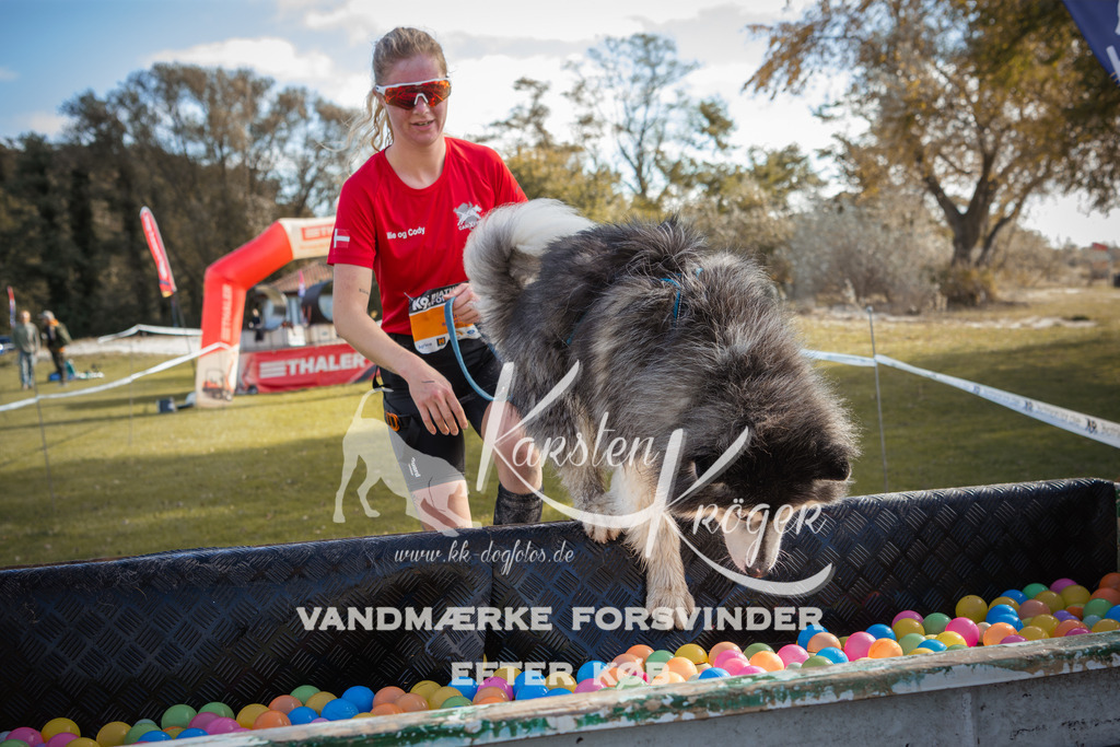 1311_ZZ99589-2 | kk-dogfotos