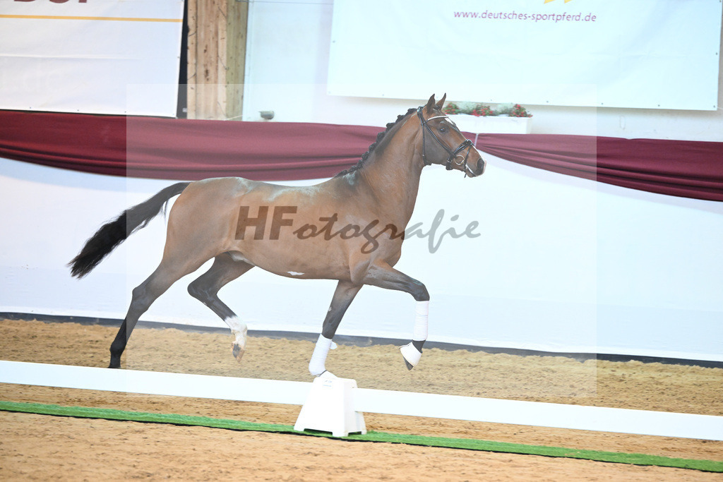 Kat-Nr. 23 v. Don Schufro_Raumanns_66220563 | hf-fotografie - Realisiert mit Pictrs.com