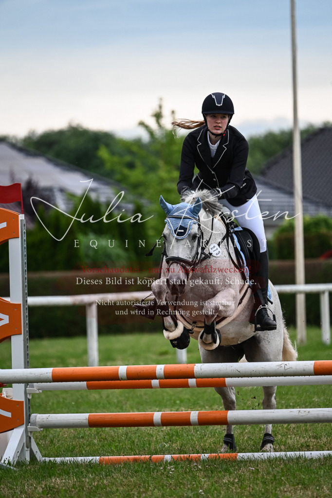 DSC_8510 | Pferde- und Turnierfotografie in Westsachsen. Pferdeportraits, Auftragszeichnungen und intuitive Kunst.