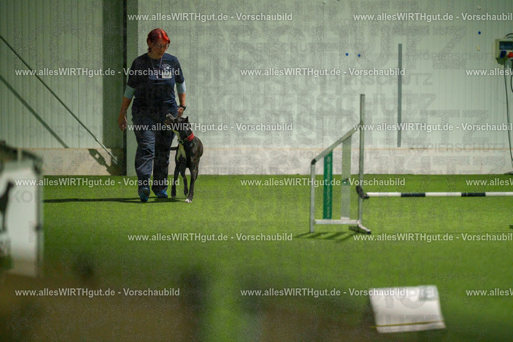 7R507405 | Professionelle Tierfotografie in Mönchengladbach von Daniel Wirth (allesWIRTHgut). Liebevolle & natürliche Bilder von Hunden & Katzen für unvergessliche Erinnerungen.