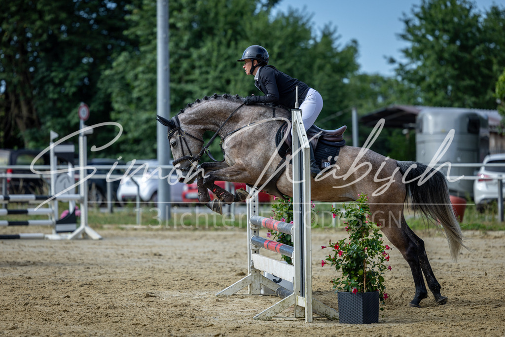 20260704-_3LI6569 | Tierfotografie Pferde, Hunde, Katzen, Haustiere.
Turnierfotografie Reitturniere, Reiten, Springreiten, Dressur in Hanau, dem Main-Kinzig-Kreis und dem Rhein-Main- Gebiet um Frankfurt