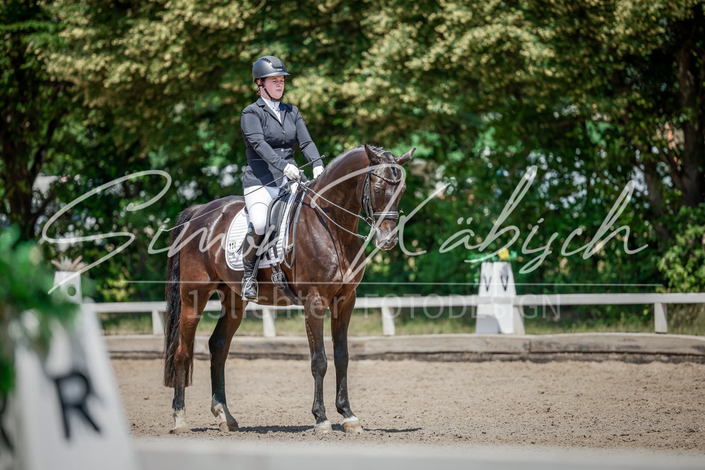 20250621-_3LI7950 | Tierfotografie Pferde, Hunde, Katzen, Haustiere.
Turnierfotografie Reitturniere, Reiten, Springreiten, Dressur in Hanau, dem Main-Kinzig-Kreis und dem Rhein-Main- Gebiet um Frankfurt