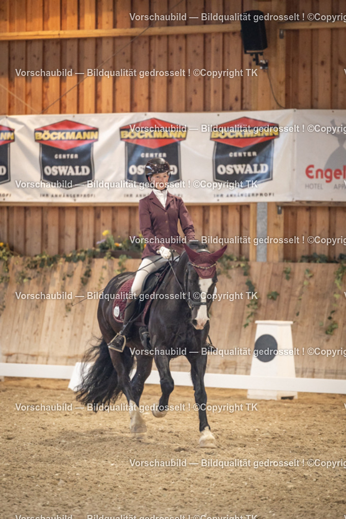 _D5A1269 | Emotionale Pferde- & People-Fotografie rund um Heidelberg, Leimen & Umgebung. Natürliche Fotos von Pferd, Mensch & Familie. Jetzt Termin sichern!