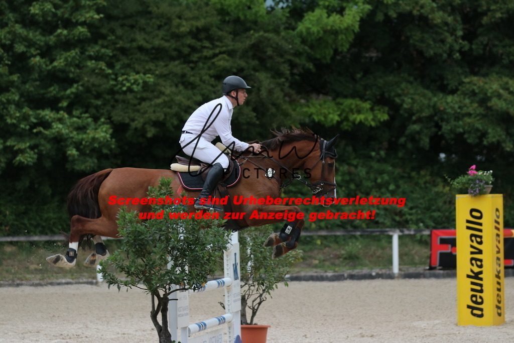 IMG_2974 | lmwpictures - Realisiert mit Pictrs.com