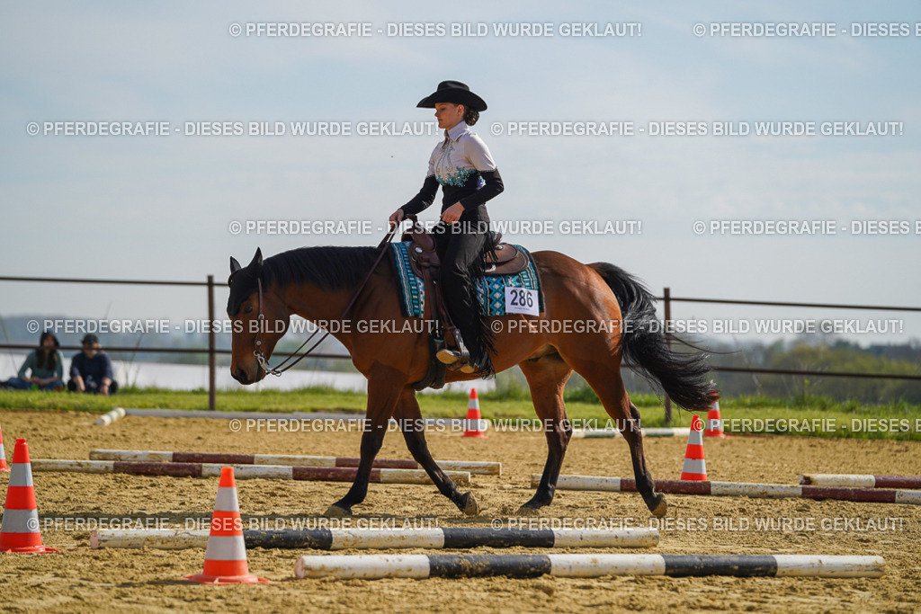 DSC01270 | Pferdegrafie