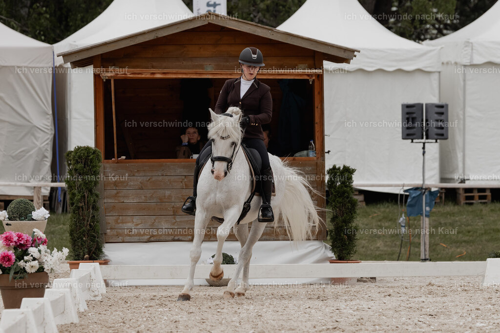 WE_DR_Stoib_318_PI2025_498 | Pferd International München 2025