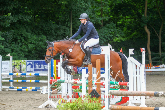 DKP45010 | Turniersportfotografie; Pferdefotografie; Dressurfotografie