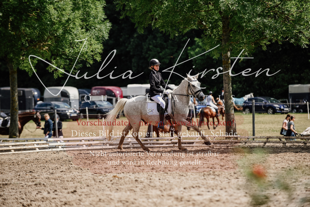DSC_0555 | Pferde- und Turnierfotografie in Westsachsen. Pferdeportraits, Auftragszeichnungen und intuitive Kunst.
