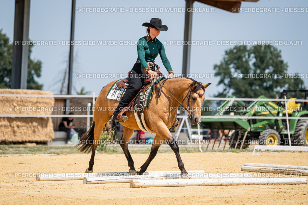 DSC01353 | Pferdegrafie