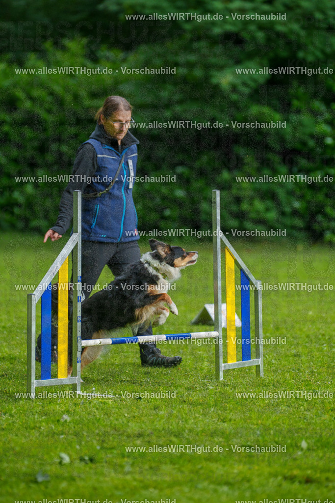 @allesWIRTHgut_Tierfotografie - www.allesWIRTHgut.de - 7R502296 | Professionelle Tierfotografie in Mönchengladbach von Daniel Wirth (allesWIRTHgut). Liebevolle & natürliche Bilder von Hunden & Katzen für unvergessliche Erinnerungen.