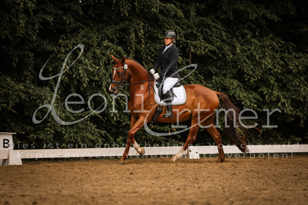 DoDrA200166 | Leoni Ertmer Photography - Realisiert mit Pictrs.com