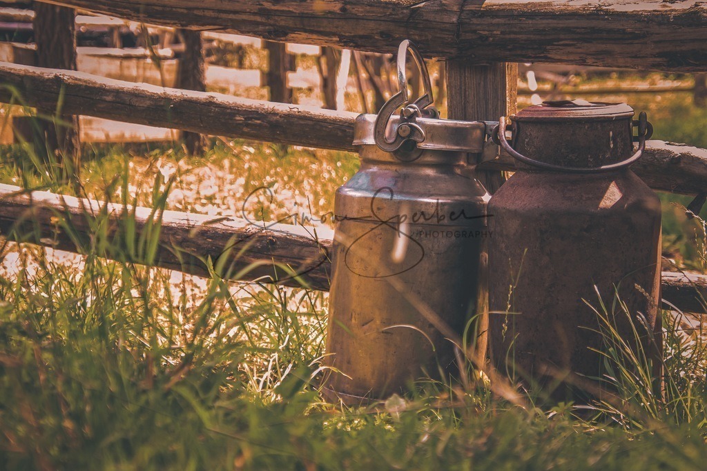 Landleben | Simone Sperber, svb-photography,Fotografin,Bilddesignerin,Naturfotografie,Macrofotografie,Tierfotografie,Wildtierfotografie,Ausstellungen,Auftragsfotografie,Kunst,Art,Photographer,Shootings,Bildberatbeitung,Galerie,Shop