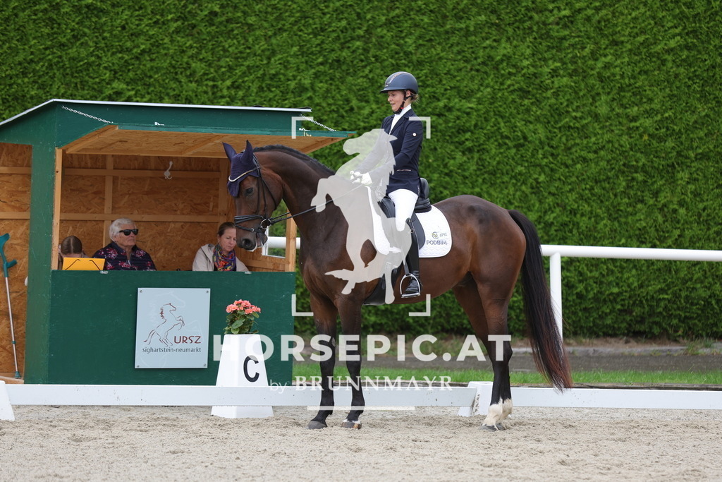 0P6A8776 | Willkommen bei Brunnmayr - Design & Fotografie – Ihrem Spezialisten für Reitturniere und Pferdeveranstaltungen in Oberösterreich, Salzburg und Bayern! Seit über 17 Jahren sind wir leidenschaftlich dabei.