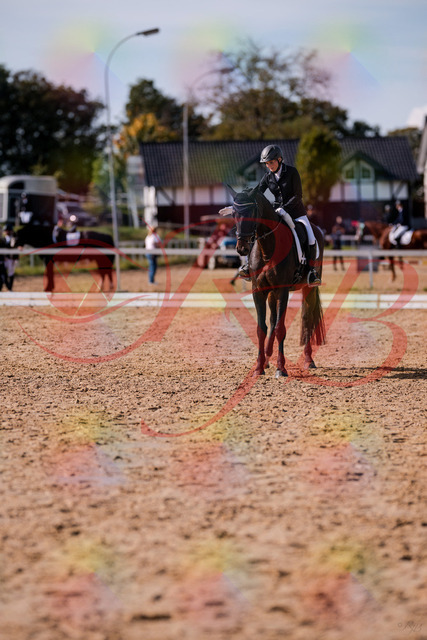 2026_10_03_Siefer-Hof_133912_Z81_98882029 | Professionelle Reitsport-, Turnier- und Eventfotografie von Robert Broda. Galerien mit ausgewählten und bearbeiteten Bildern direkt online ansehen und bestellen.