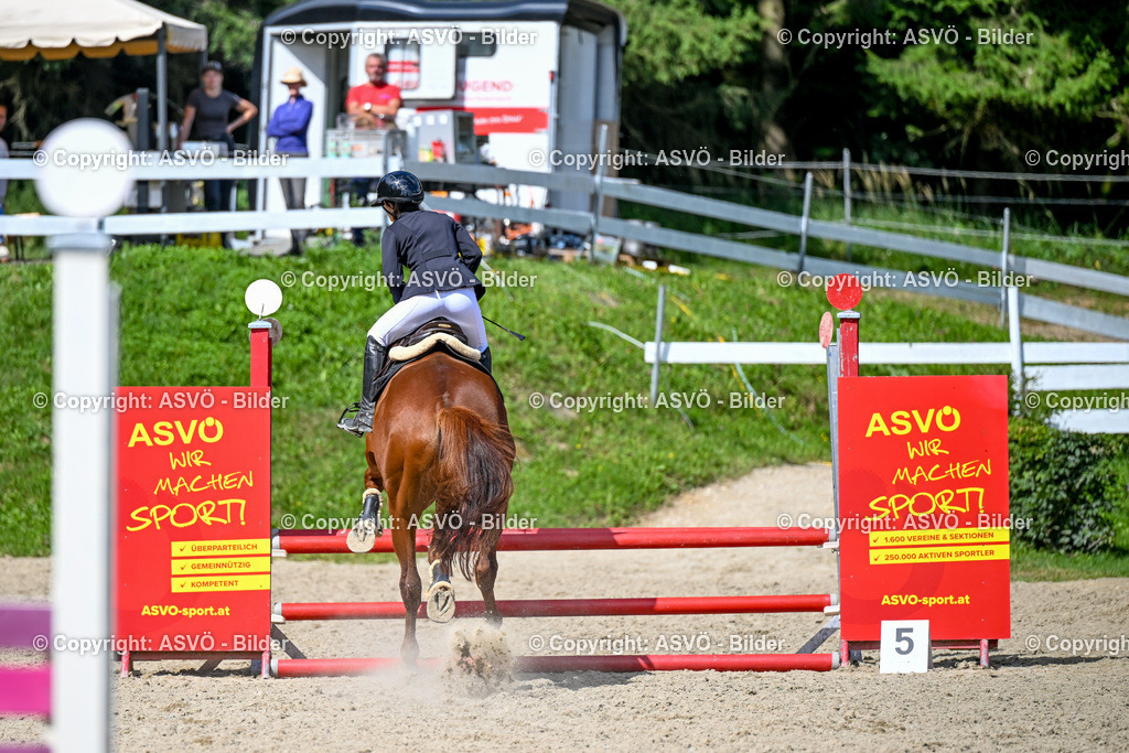 ASVÖ_ Reiten Bezirksmeisterschaft_ 24.08.2025-114 | 24.08.2025, AUT, ASVÖ, Reiten Bezirksmeisterschaft 2025Dressur und Springreiten©fodo.media / Harald Dostal - Realisiert mit Pictrs.com
