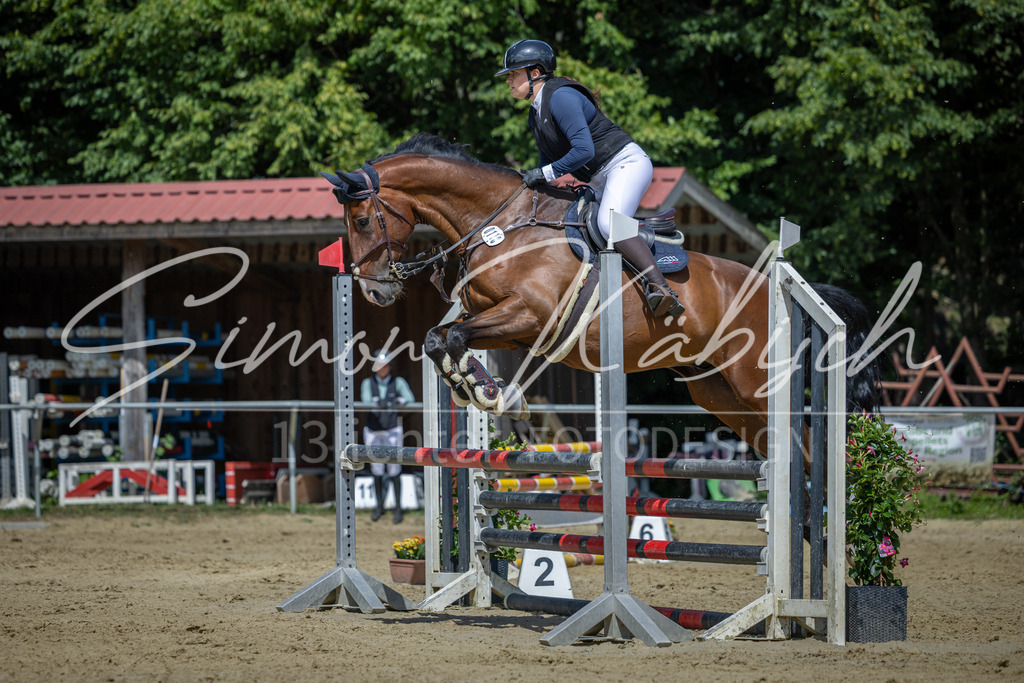 20260704-_3LI0369 | Tierfotografie Pferde, Hunde, Katzen, Haustiere.
Turnierfotografie Reitturniere, Reiten, Springreiten, Dressur in Hanau, dem Main-Kinzig-Kreis und dem Rhein-Main- Gebiet um Frankfurt
