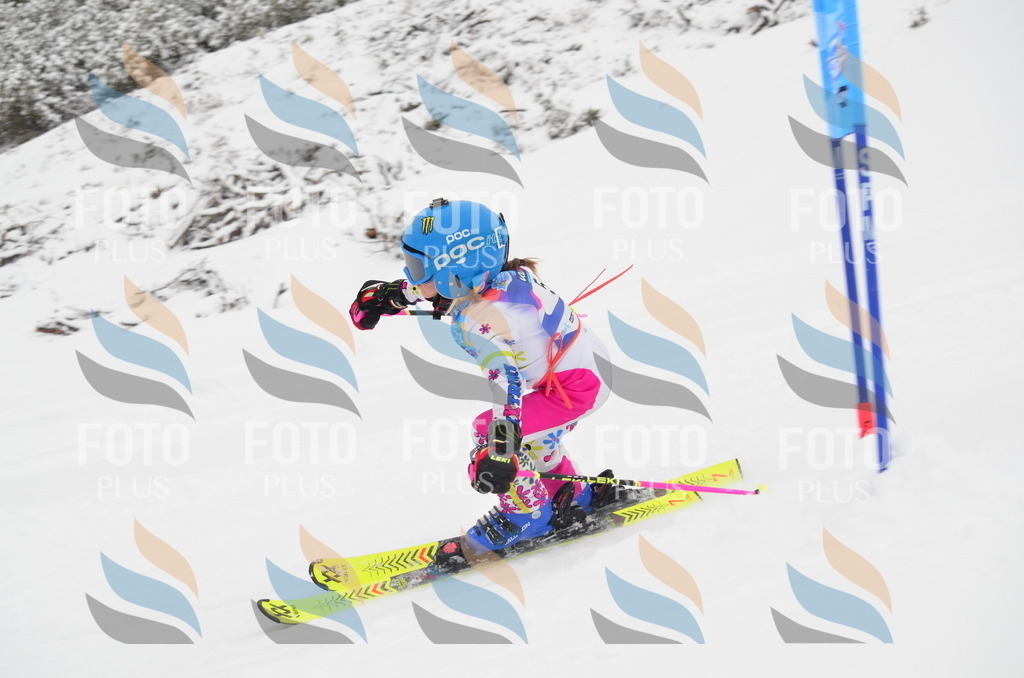 C0555 | holidayphoto