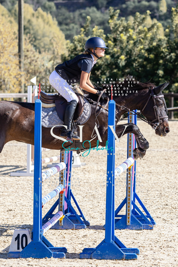 IMG_6444 | s-jay-photography - Realisiert mit Pictrs.com