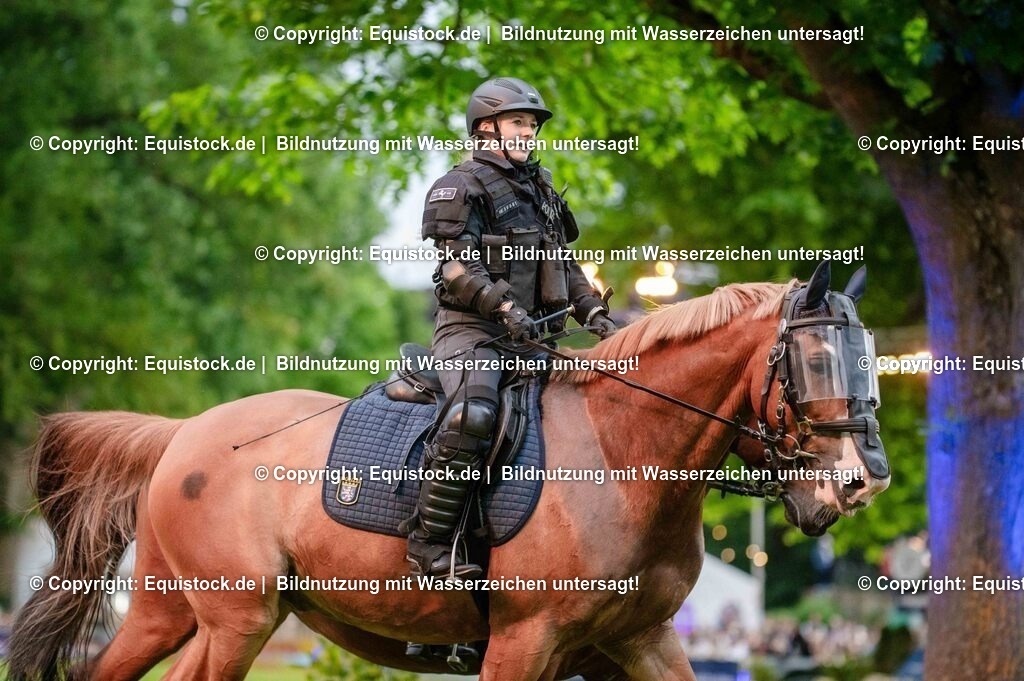 20250606_Lange-Pferdenacht_0891 | Foto: Thomas Hartig