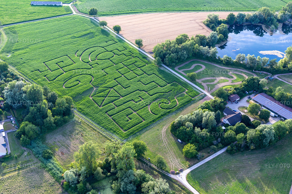 Luftbild: Maislabyrinth in Leimersheim im Bundesland Rheinland-Pfalz in Deutschland. Foto: IMG_133418.jpg vom 12.07.2022 durch Werner Riehm/FLY-FOTO.deWWW.MAISLABYRINTH-LEIMERSHEIM.DE