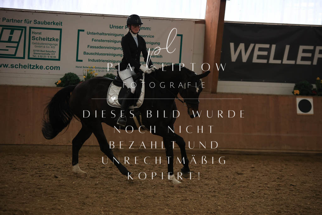 IMGT9671 | pl-fotografie