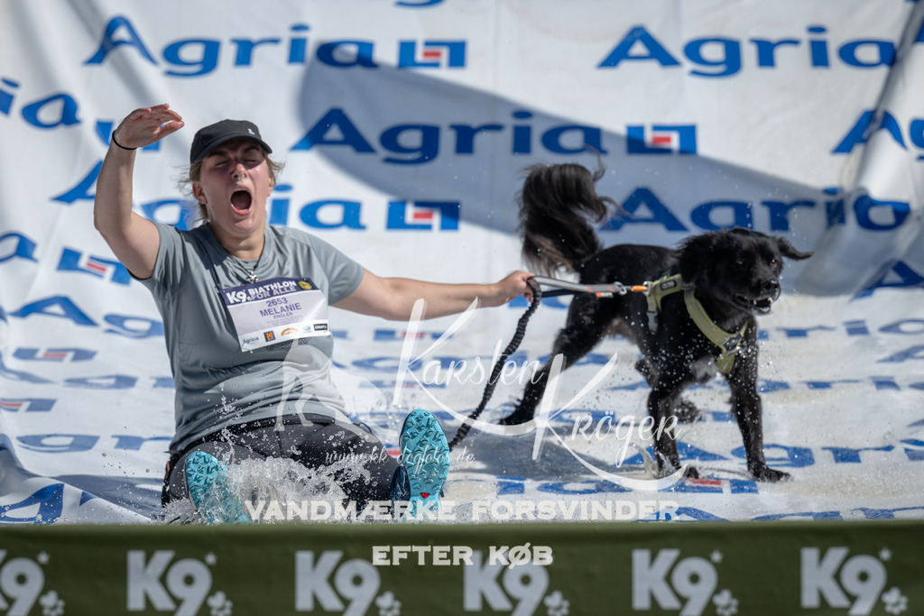 1129_ZZ92234 | kk-dogfotos