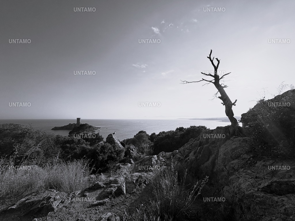 Blick auf Burg Insel Antibes SW | untamo - Realisiert mit Pictrs.com
