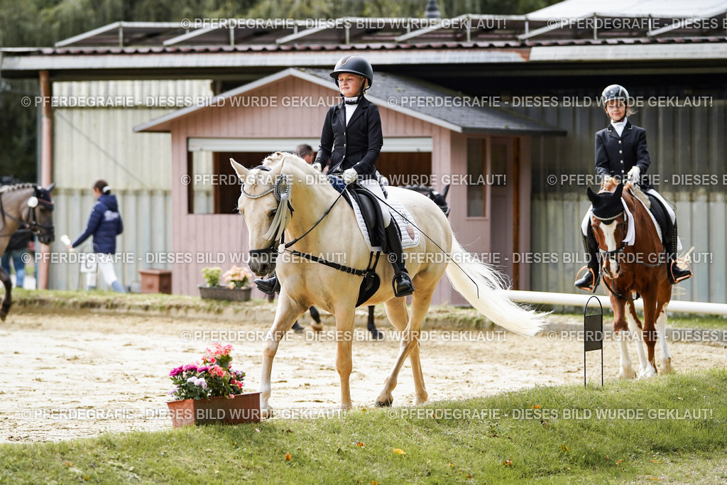 DSC05797 | Pferdegrafie