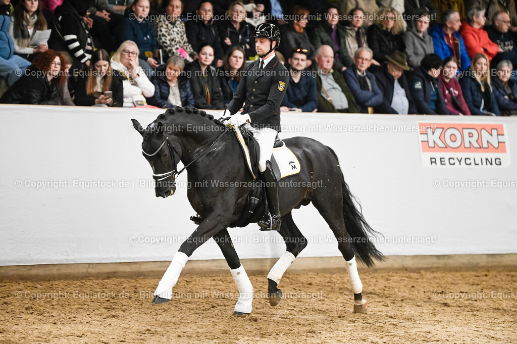 20260307_Hengstvorstellung-Marbach_0253 | equistock