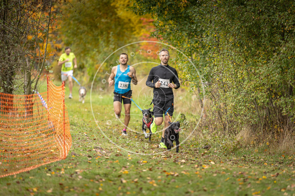 Pfotenfotografie_DV3A4352 | Hundefotografie, Tierfotograf, Pfotenfotografie, Fotoshooting Hund, Hunde Portrait, Hundesport, Hundeportraits, Heideshooting, Hunde, Sportfotograf, Hundefotograf, Turnierhundsport, THS,  - Realisiert mit Pictrs.com