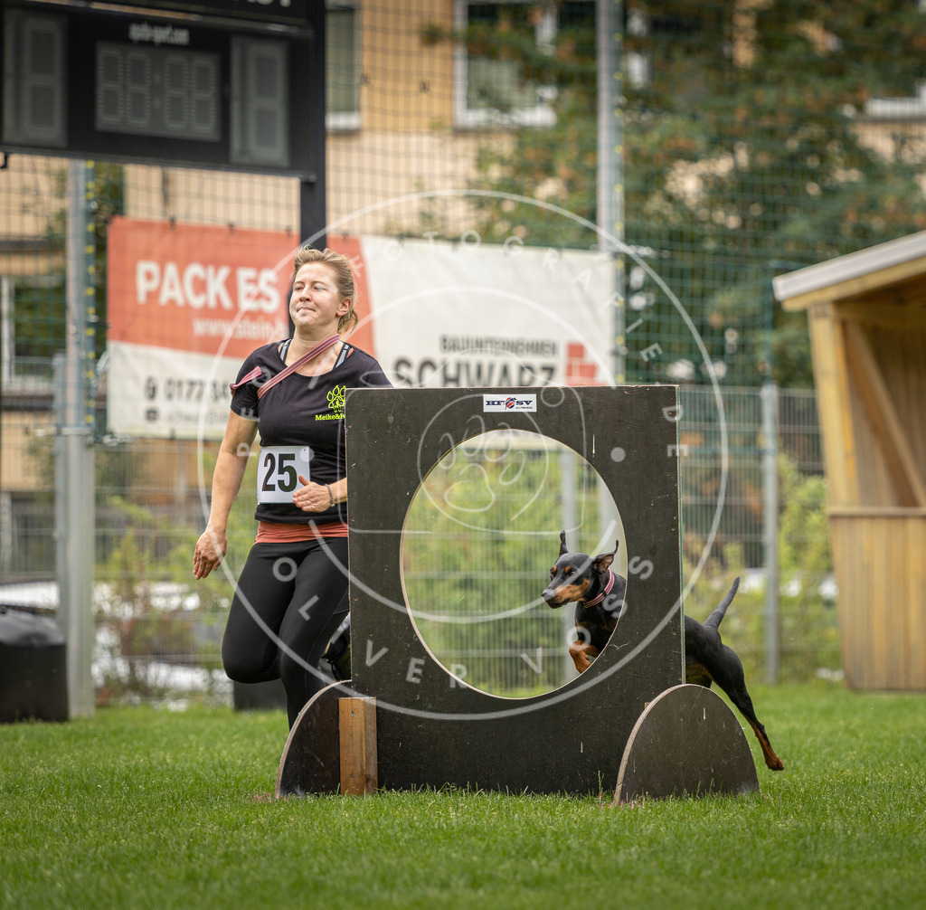 Pfotenfotografie_DV3A8589 | Hundefotografie, Tierfotograf, Pfotenfotografie, Fotoshooting Hund, Hunde Portrait, Hundesport, Hundeportraits, Heideshooting, Hunde, Sportfotograf, Hundefotograf, Turnierhundsport, THS,  - Realisiert mit Pictrs.com