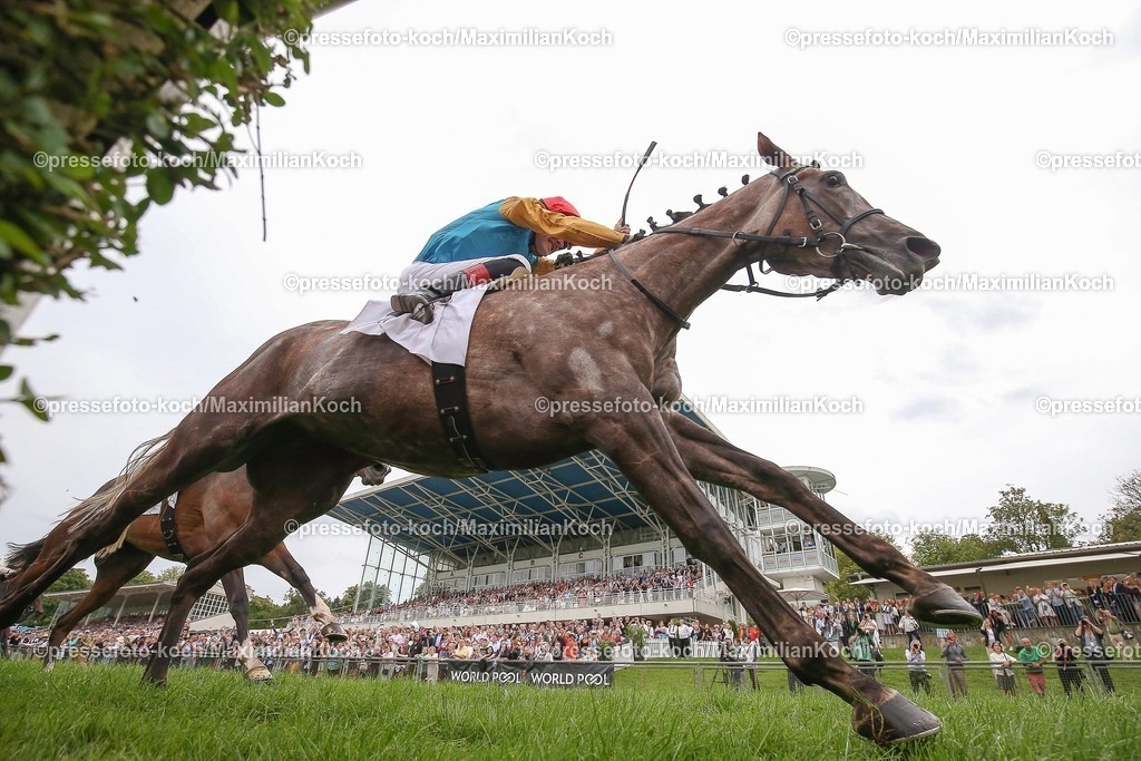 Due04082499993 | Erle siegt unter Martin Seidl im 166. Henkel Preis der Diana, Gr. 1 am 04.08.2024 Renntag in Düsseldorf. Copyright by Marc Ruehl - Veroeffentlichung nur gegen Honorar (zzgl.MwSt), Namensnennung und Beleg, Bank Routing Number: BIC GENODED1PAF, Bank Account Number: IBAN DE04 3706 2600 1201 6180 17, Steuer-Nr.: 203/5266/0306, Ust_Id_Nr.: De 122081417, Zur Gaulshuette 29, 50181 Bedburg, Phone: +49-(0)2272-83351, www.marcruehl.com, info@marcruehl.com, No Model Release, Abtretung von Persoenlichkeitsrechten der abgebildeten Person/Personen liegen nicht vor. Speichern in Bilddatenbanken oder Vervielfaeltigung ist ohne schriftliche Genehmigung nicht gestattet.