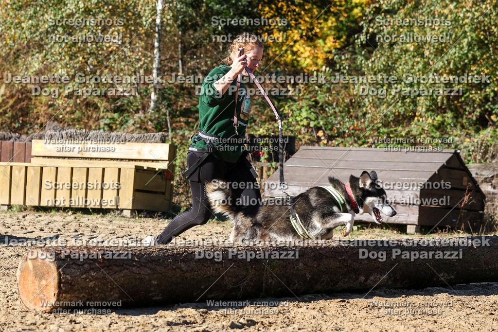 Dog Paparazzi - Strongdog 10-25-2683 | Dog Paparazzi Jeanette Grottendiek Fotografie & Videografie - Realisiert mit Pictrs.com