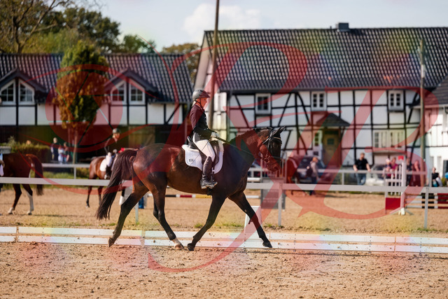 2026_10_03_Siefer-Hof_133611_Z63_96193843 | Professionelle Reitsport-, Turnier- und Eventfotografie von Robert Broda. Galerien mit ausgewählten und bearbeiteten Bildern direkt online ansehen und bestellen.