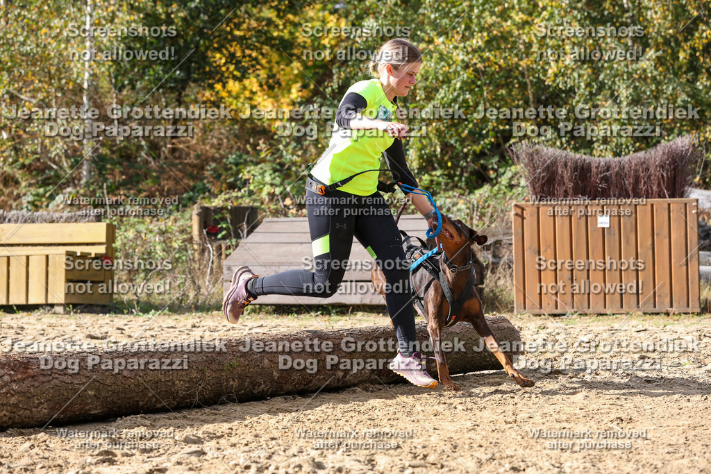 Dog Paparazzi - Strongdog 10-25-5703 | Dog Paparazzi Jeanette Grottendiek Fotografie & Videografie - Realisiert mit Pictrs.com