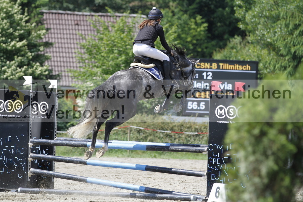 _MG_0762 | equestrian-live-com