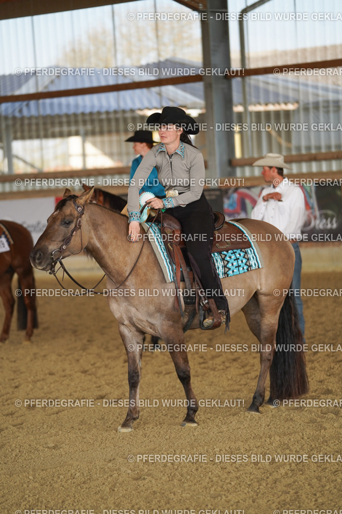 DSC08933 | Pferdegrafie