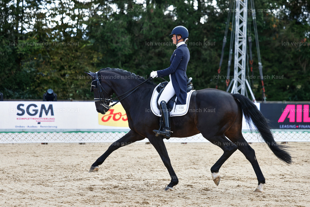 10-115-ST.GEORG SPECIAL -StoibPH-3186 | working equitationturnier fotograf videograf stoibphotography marixx film working equitation deutschland reitsport turnierfotografie eventfotografie equestrian events